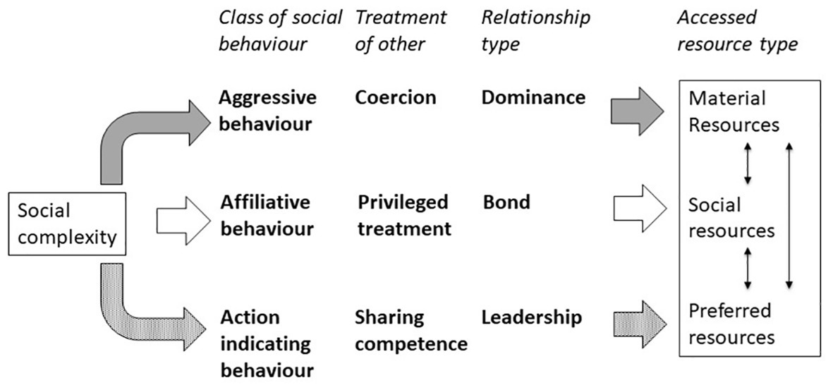 Diagram showing how social complexity relates to behavior types, treatment of others, relationship types, and accessed resources.